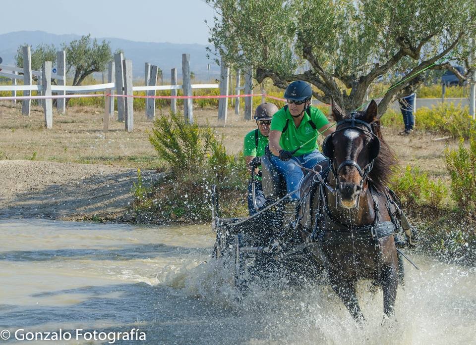 David Aramendía y Carmen Goiburu, Campeones Navarros de Enganches Completo en Troncos y Limoneras